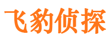 咸安市婚外情调查